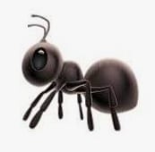 ANT